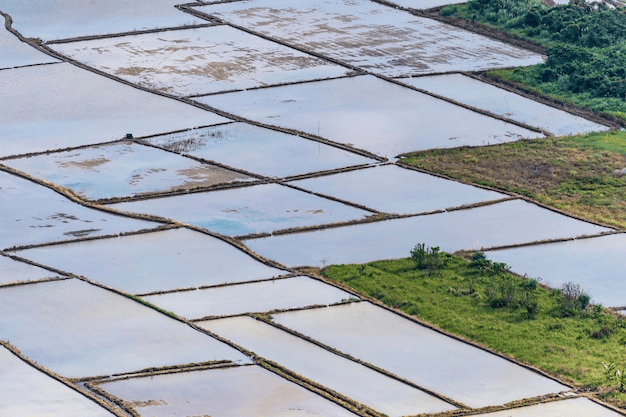 Sel et Agriculture