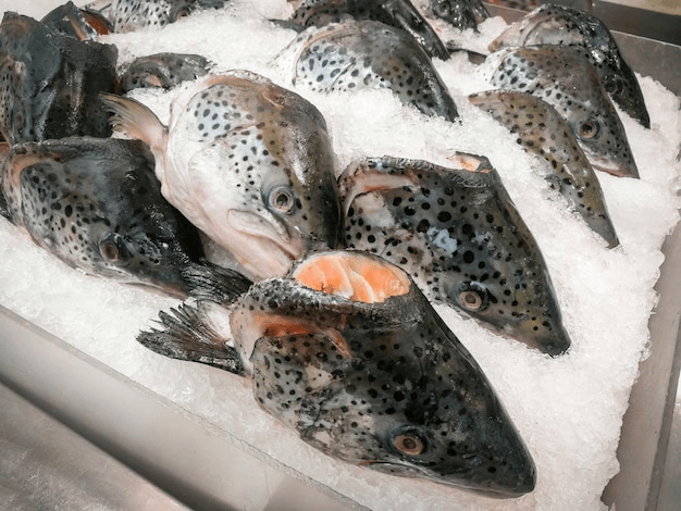 Sel pour Nutrition Animale