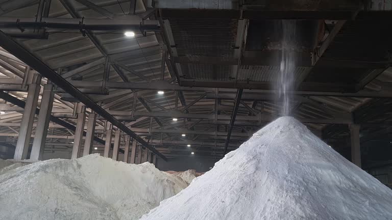Impact environnemental de l'extraction du sel