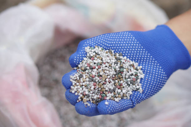 Innovations dans la production de sel pour une agriculture durable