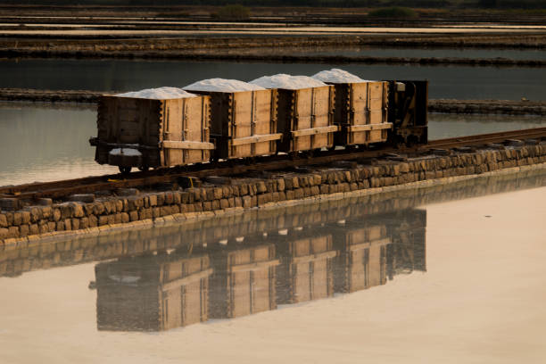 La distribution du sel pour le traitement de l’eau : chaînes...