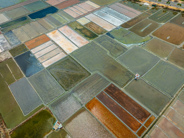 L'impact des mÃ©thodes de production du sel sur l'environnement