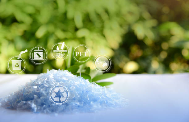 Production durable du sel : impacts environnementaux et innovations
