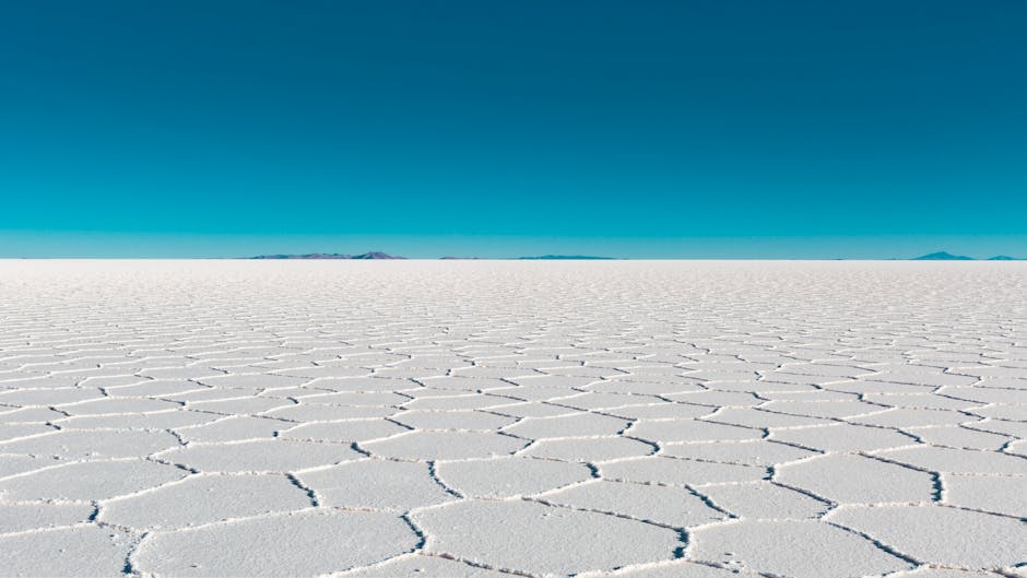 Origine et RÃ©colte de la Fleur de Sel : Un Produit dâ€™Exception